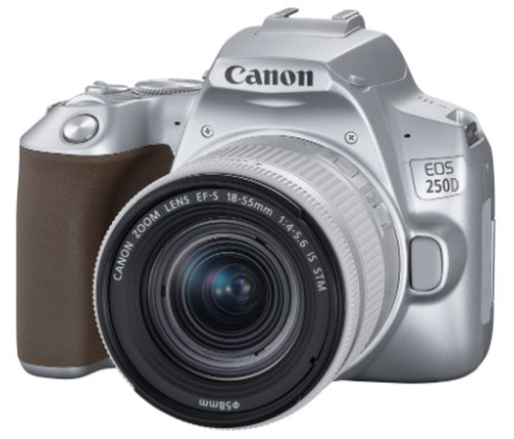Зеркальный фотоаппарат Canon EOS 250D Kit 18-55 IS STM серебро фото