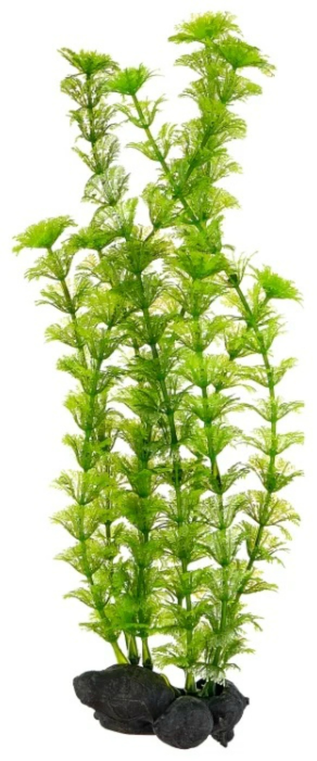 Растение аквариумное Tetra Ambulia L 30 см с утяжелителем 270473 фото