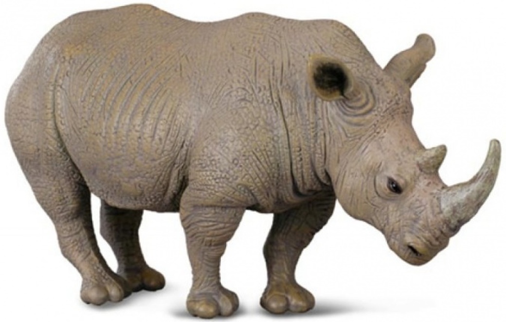 Collecta Белый носорог, L (13 см) фото