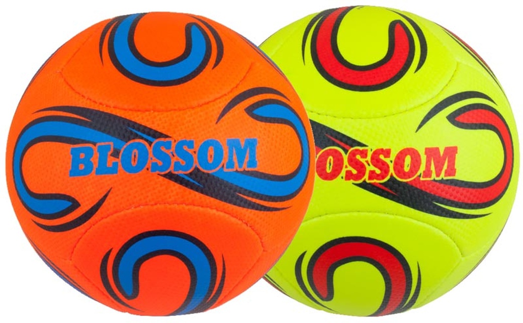 Мяч волейбольный Indigo BLOSSOM 1183/1184 фото
