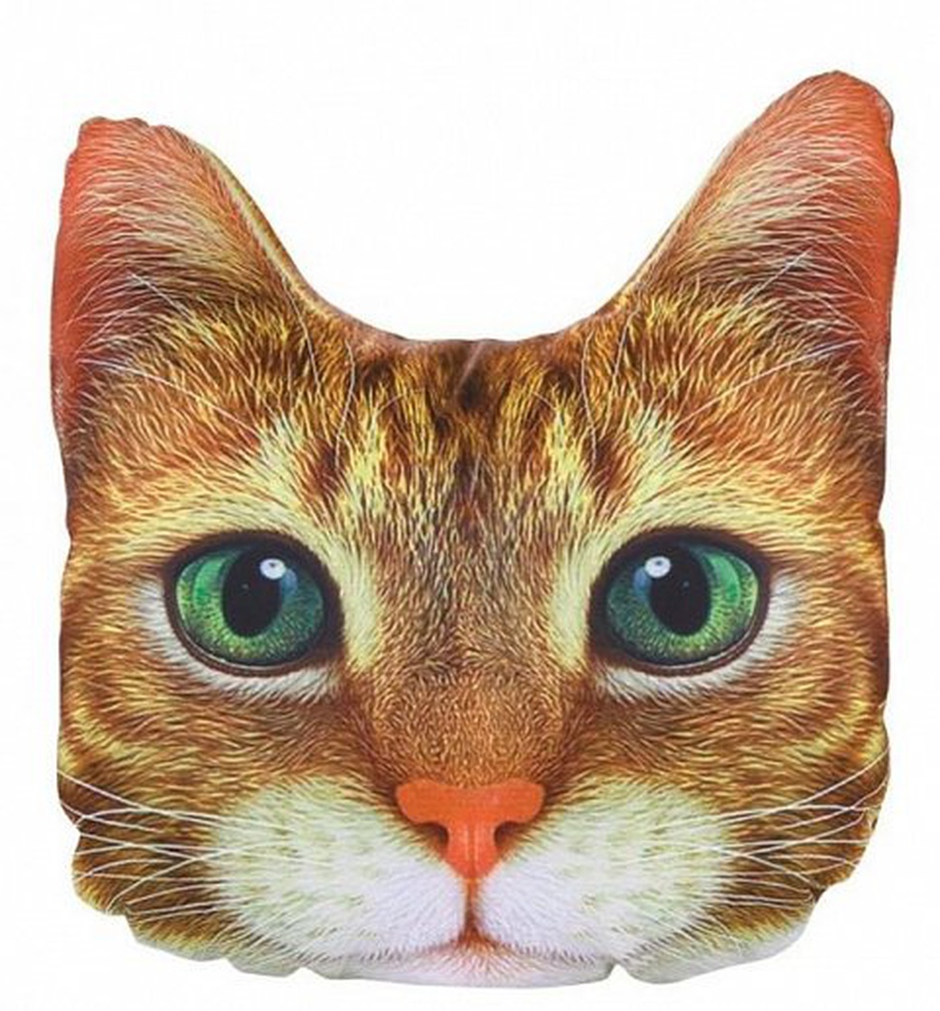 Подушка декоративная Худжанд рельефная с фотопечатью Рыжий кот фото