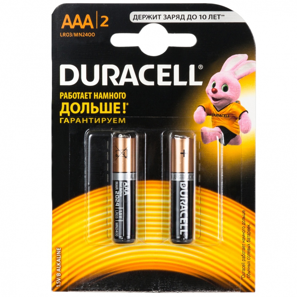 Батарейка Duracell LR03-2BL Basic (2/20/16500) фото