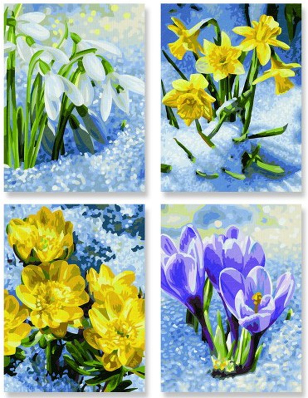 Schipper Весеннее пробуждение цветов - набор из 4 раскрасок по номерам, 18х24 см фото