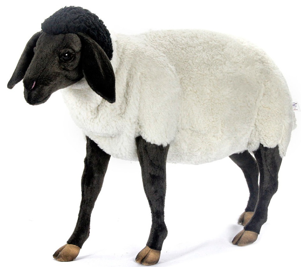 Мягкая игрушка Hansa Суффолкская овечка, 65 см фото