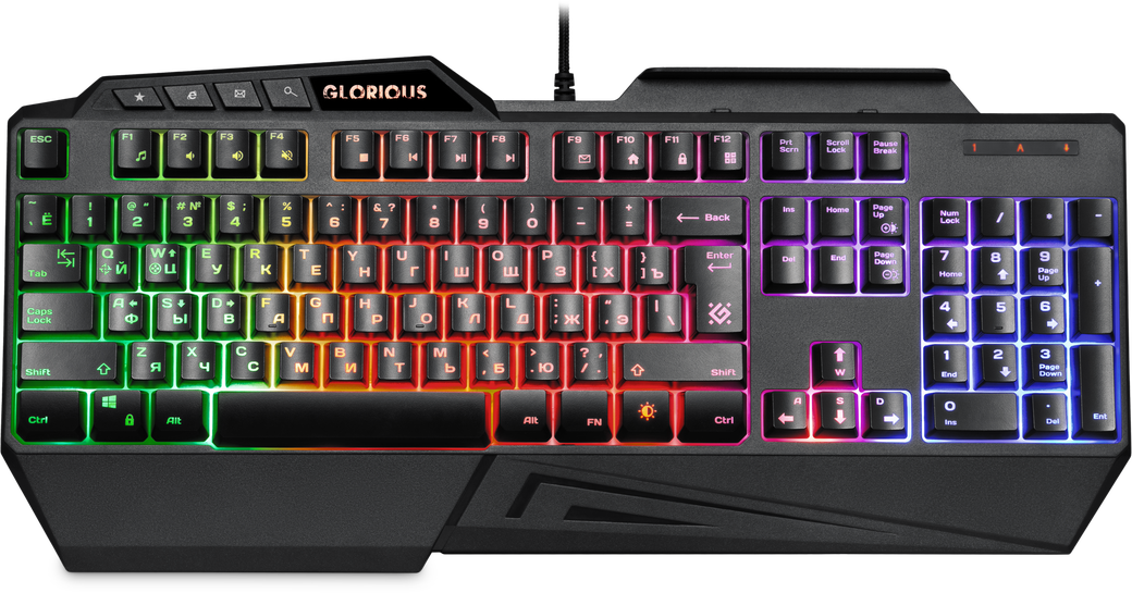 Проводная игровая клавиатура Glorious GK-310L RU,RGB подсветка,19 Anti-Ghost фото