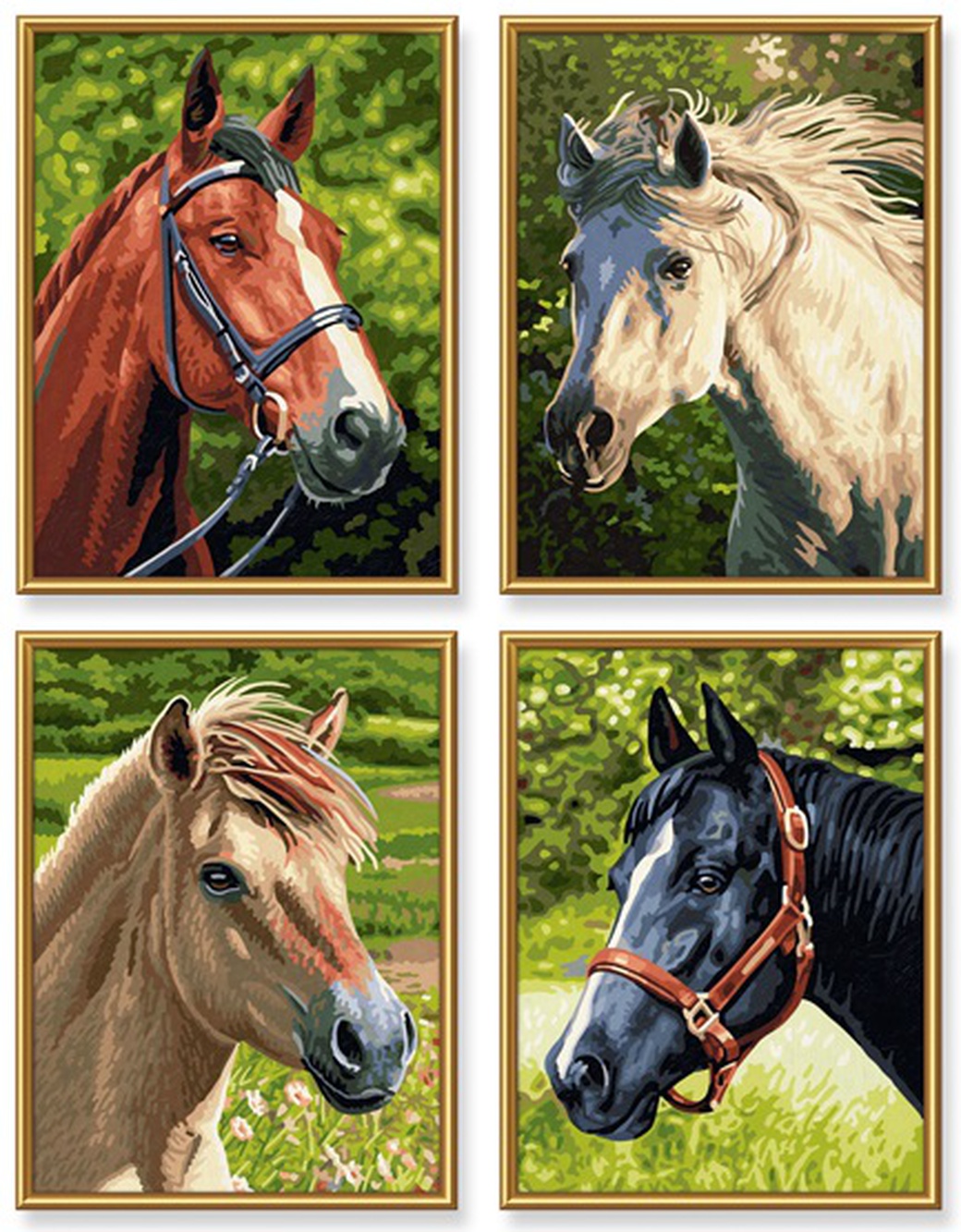 Schipper Лошади - набор из 4 раскрасок по номерам, 18х24 см фото