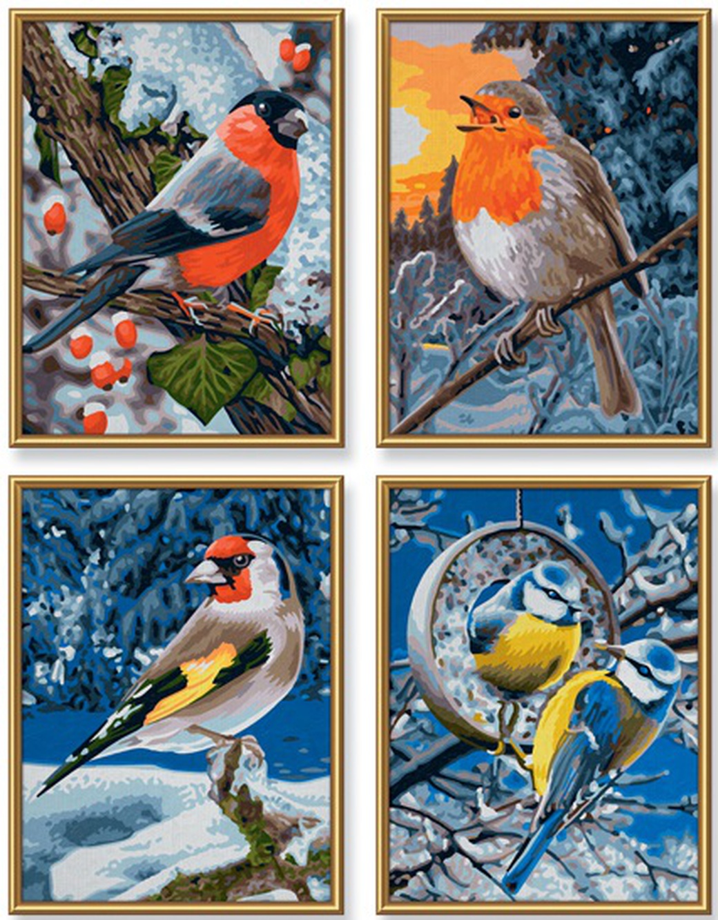 Schipper Птицы зимой - набор из 4 раскрасок по номерам, 18х24 см фото