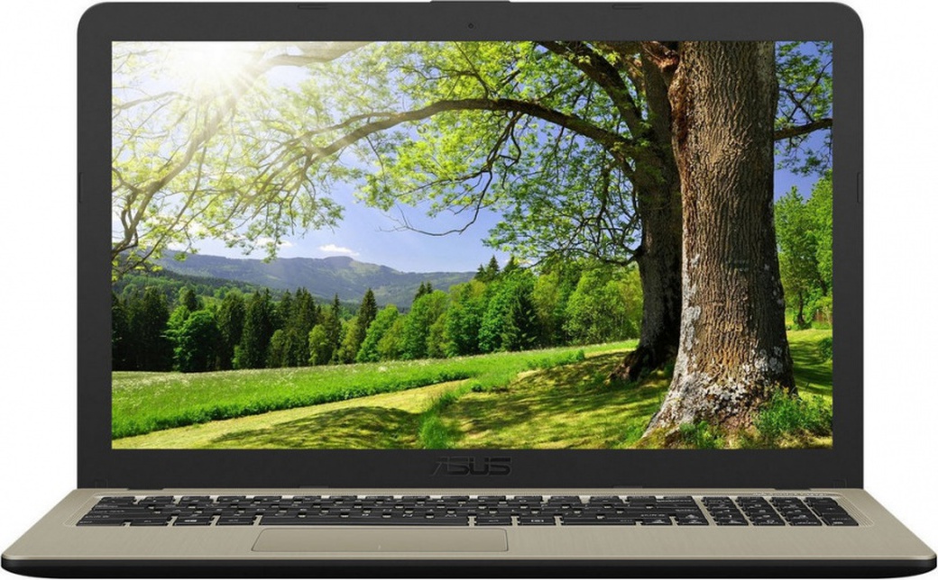 Ноутбук Asus X540NA-GQ008 (Intel Pentium N4200/4Gb/500Gb/15.6/1366x768/Intel HD/DOS) черный фото