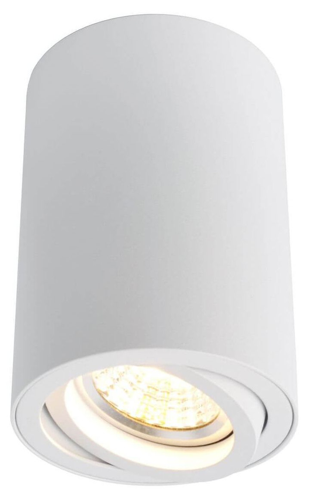 Точечный накладной светильник ARTELAMP A1560PL-1WH SENTRY фото