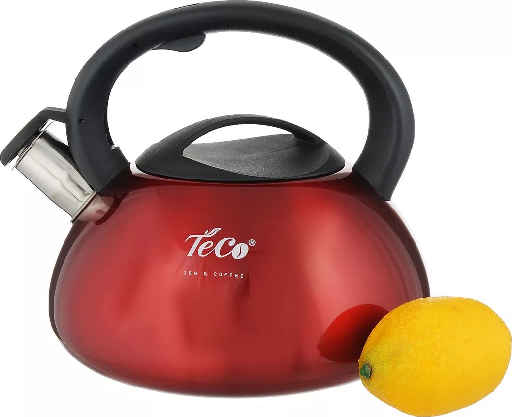 Чайник TECO TC-102-R (3,0л,со свистком нерж.сталь,c пластиковой крышкой и ручкой) фото