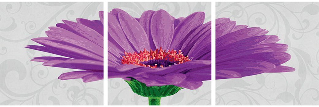 Schipper Триптих Гербера фиолетовый - раскраска по номерам, 40х120 см фото