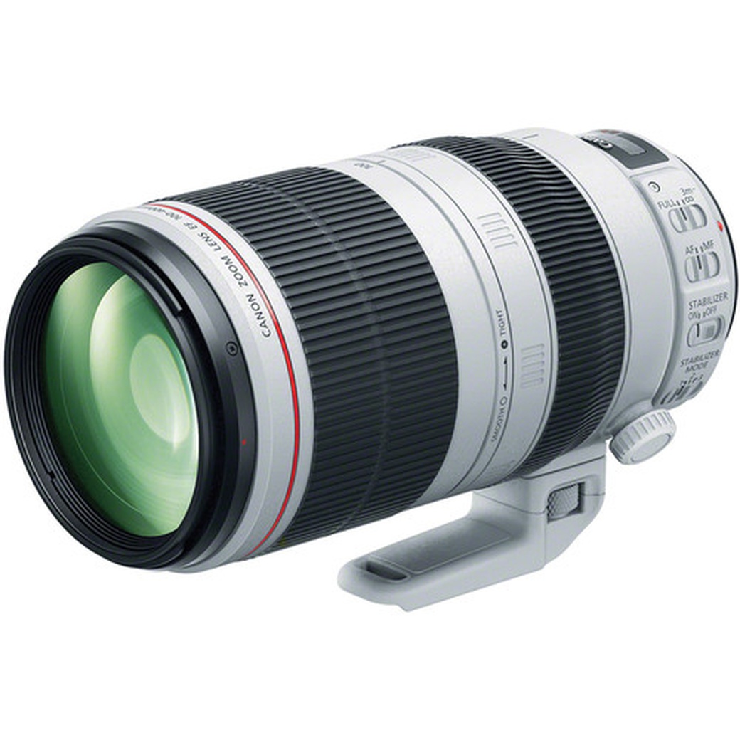 Объектив Canon EF 100-400mm f/4.5-5.6L IS II USM фото