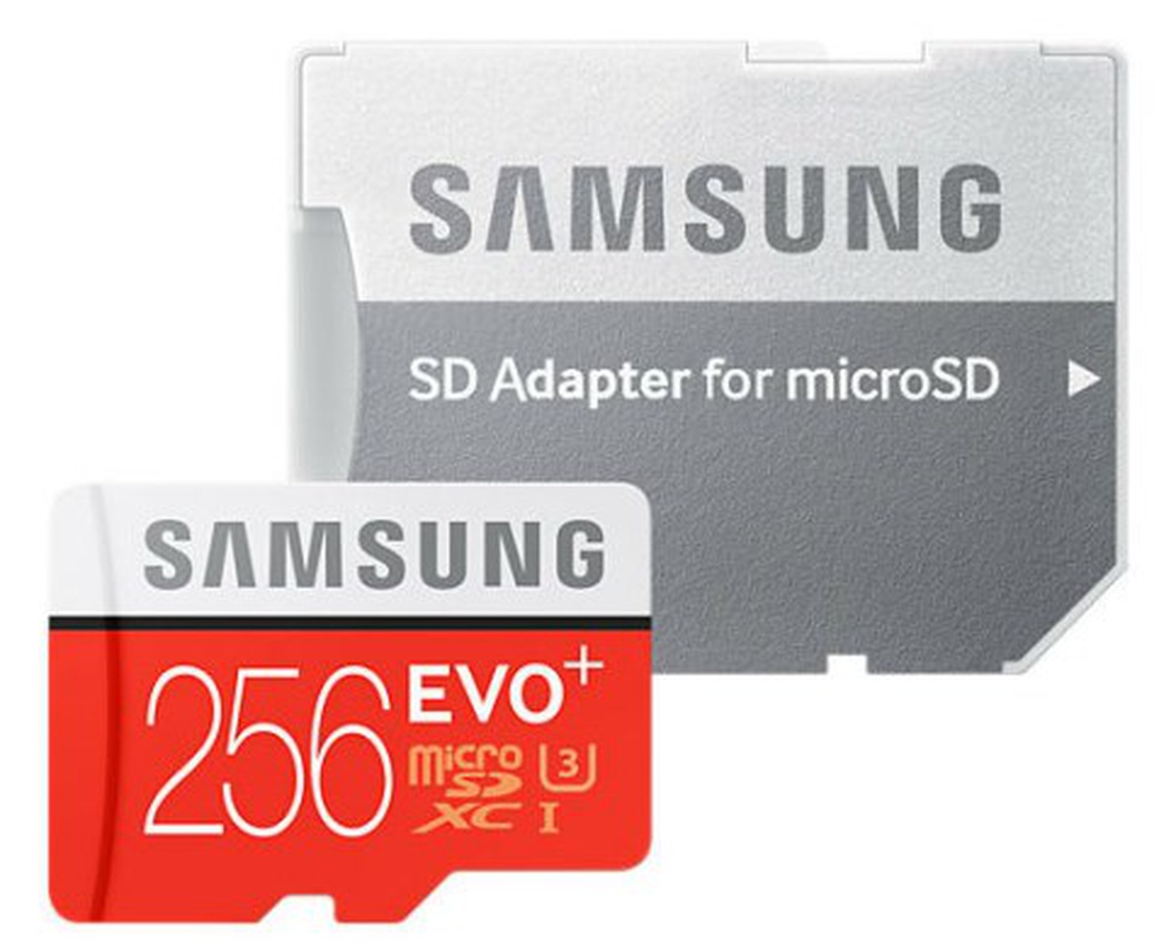 Карта памяти Samsung microSDXC Evo Plus Class 10 UHS-I (100/90MB/s) 256GB + ADP фото