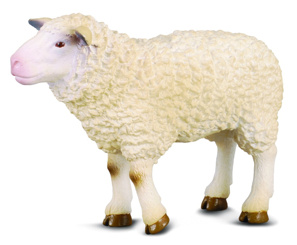 Collecta Овца , M (8 см) фото
