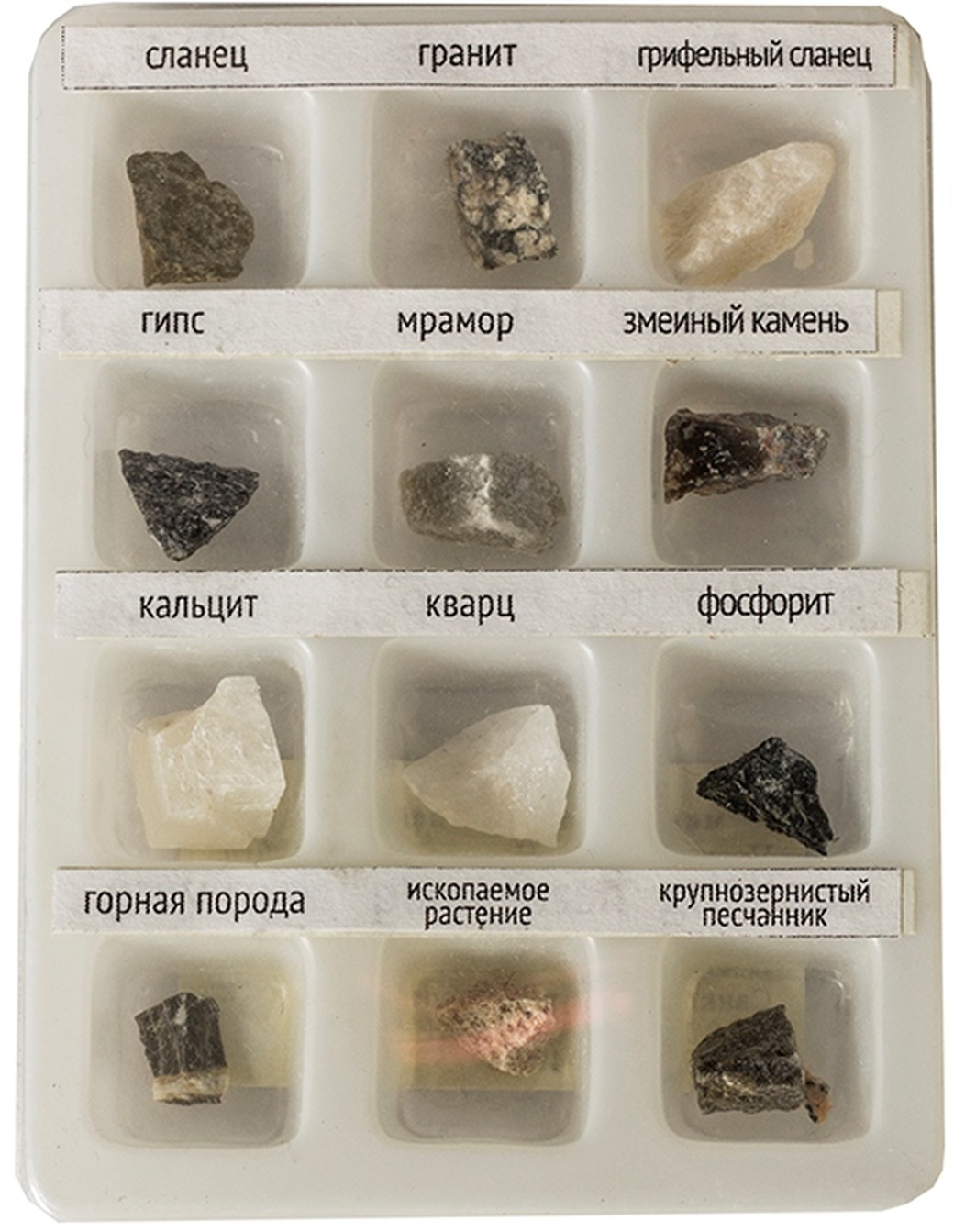 Набор образцов минеральных камней (12 шт.) фото