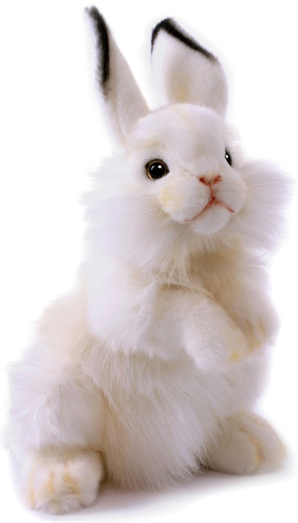 Мягкая игрушка Hansa Белый кролик, 32 см фото