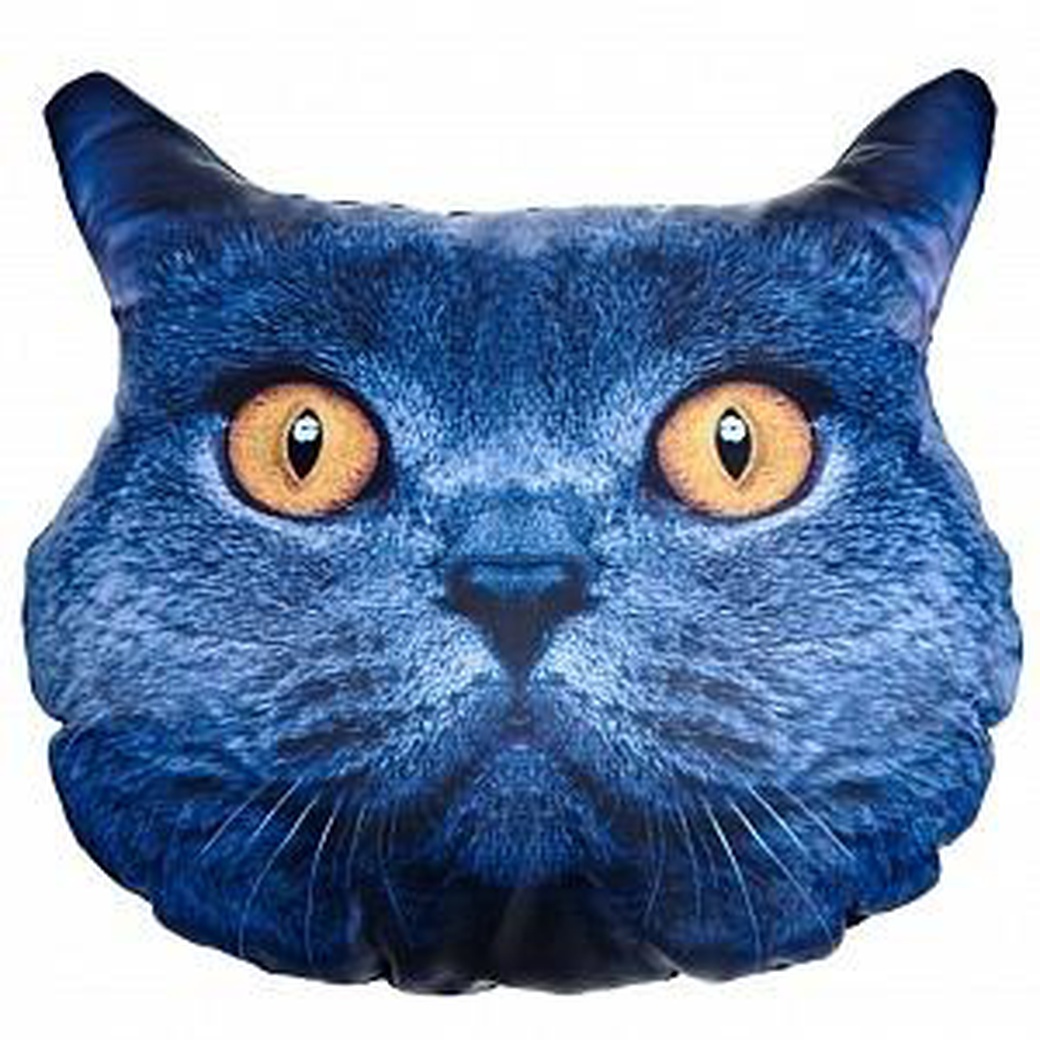 Подушка декоративная Худжанд рельефная с фотопечатью Британский котенок фото