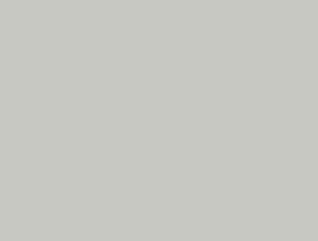 Фон пластиковый Vibrantone 1x1,4м Light Grey светло-серый фото